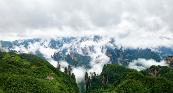 张家界旅游有个让人“崩溃”的疏忽，一旦走错，排队两小时起